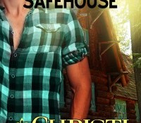 Spotlight on: Snowcroft Safehouse by Christi Snow