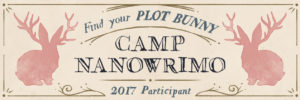 July 2017 Camp NaNo Participant